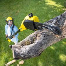 Best Lawn Mowing Services  in Rosewood Heights, IL